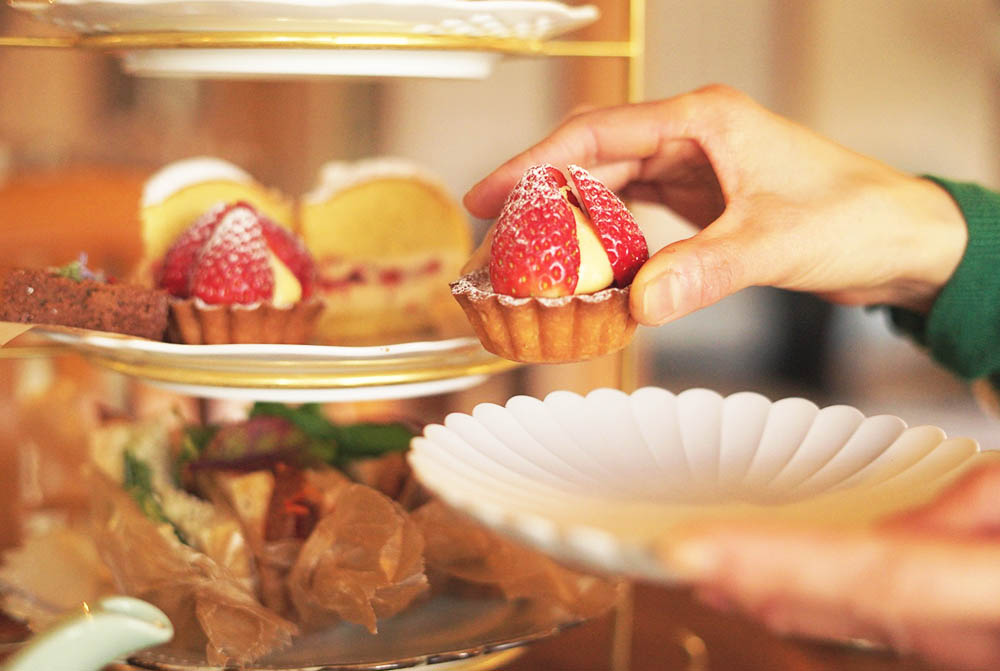 ハルとツキ画像